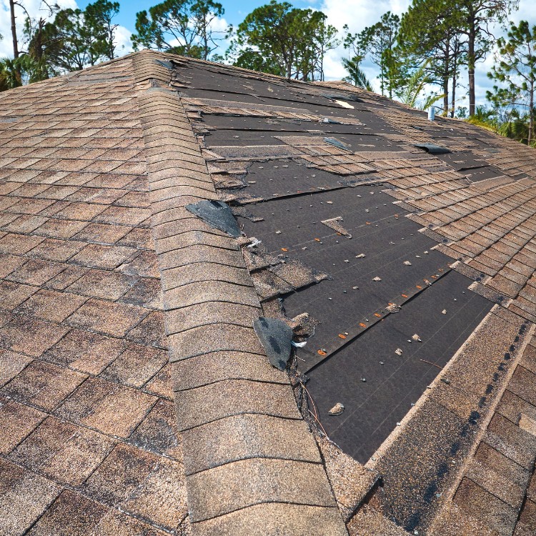 Roofing and remodeling services in North Texas, TX