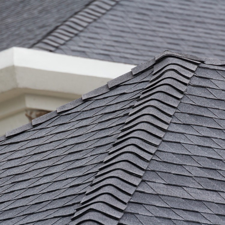 Roofing and remodeling services in North Texas, TX